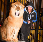 tiger-show-